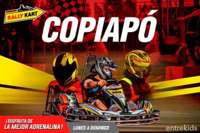 ¡Ven a correr en Rally Kart Copiapó! - Familiares